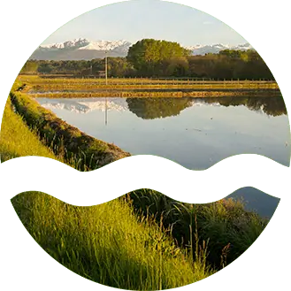 L'azienda agricola a Lumellogno